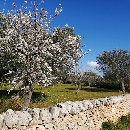 Holiday home Trulli San Pietro Conversano
