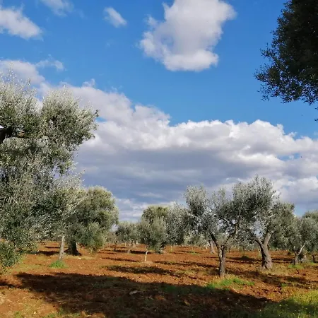 Holiday home Trulli San Pietro