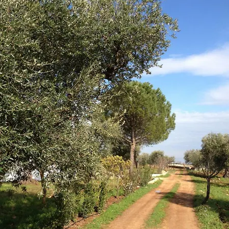 Trulli San Pietro * Conversano